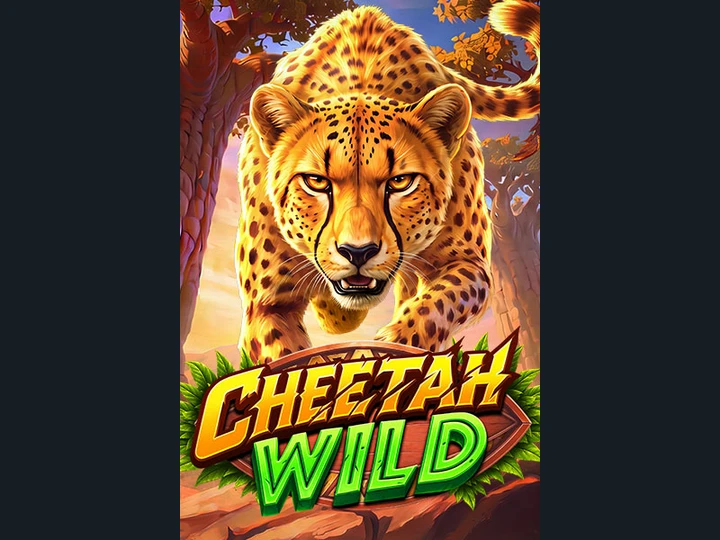 Cheetah Wild